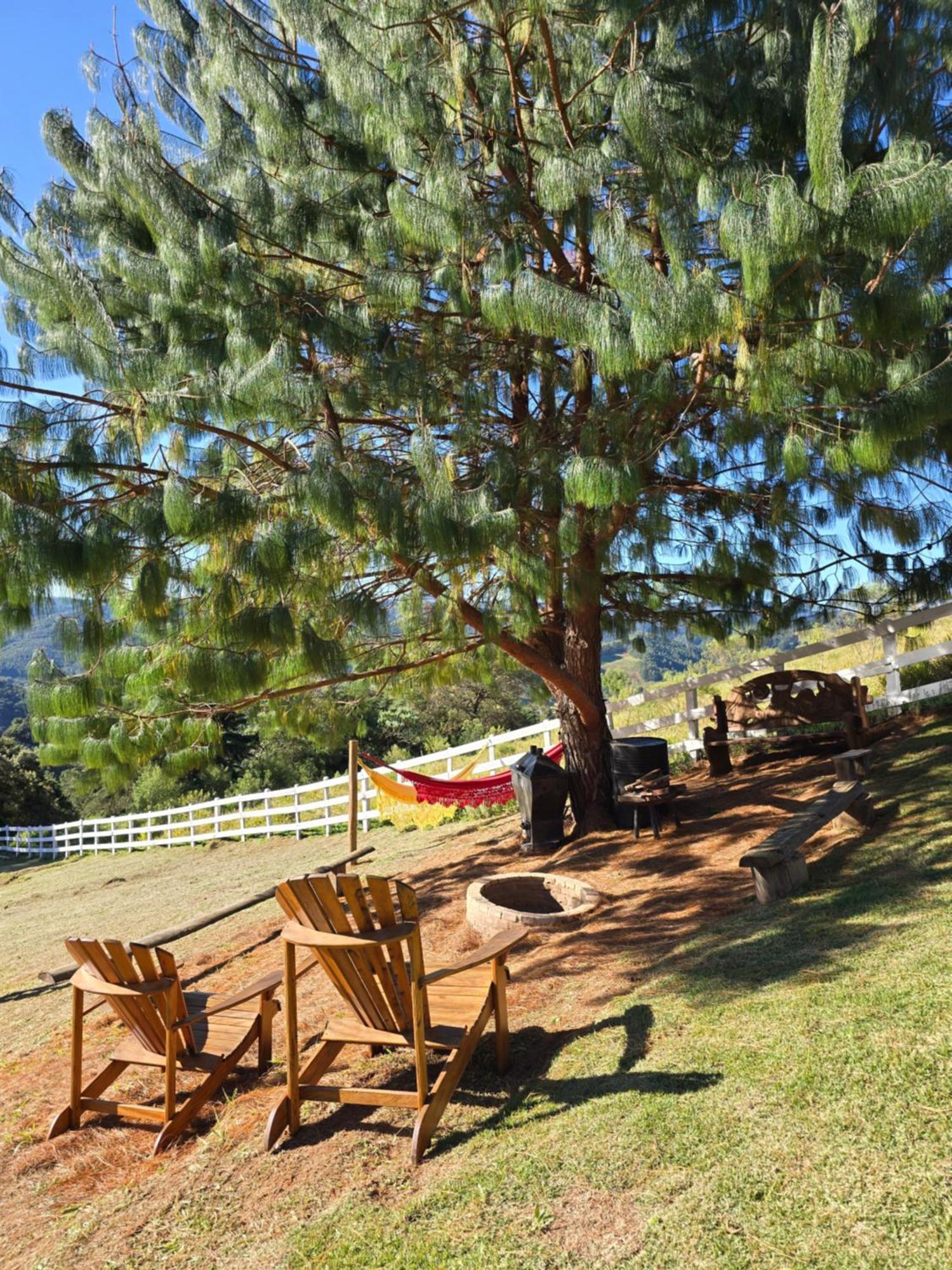 山林小屋 Quintal Oliveiras *