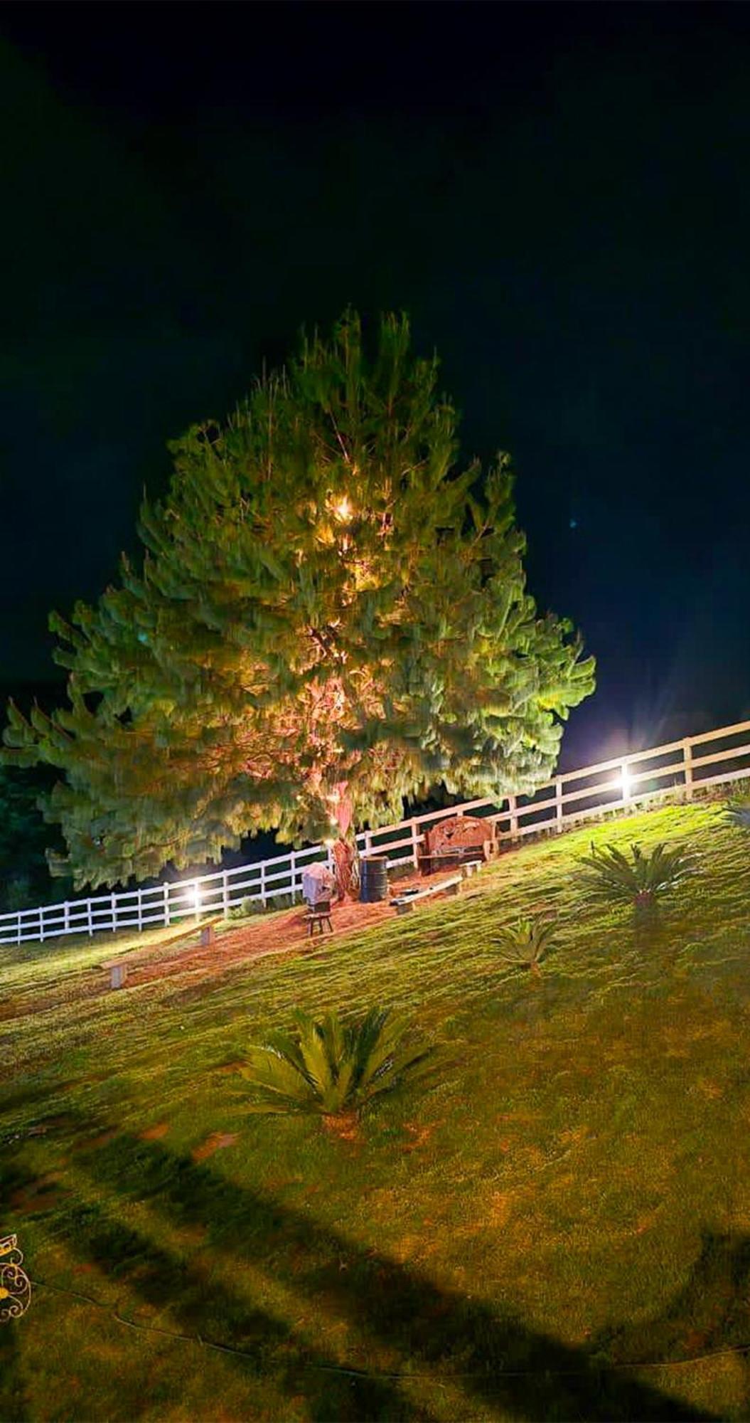Quintal Oliveiras 山林小屋 Monte Verde (Minas Gerais)